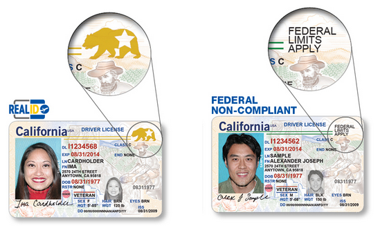 REAL ID examples